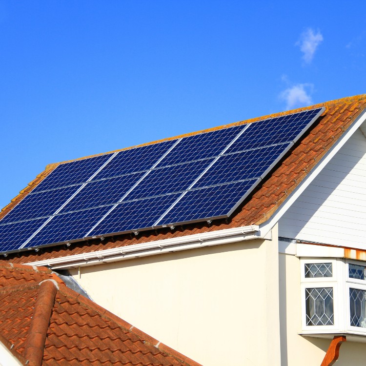 Just another WordPress site